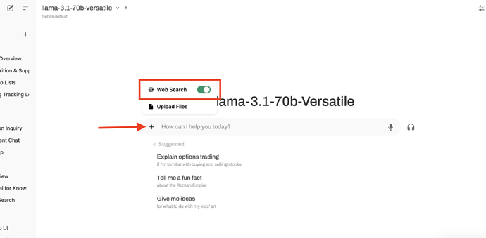 turn web search on